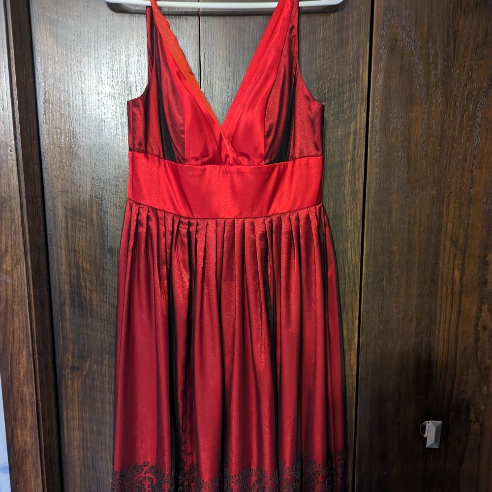 Vintage Morgan and Co dress with tulle overlay